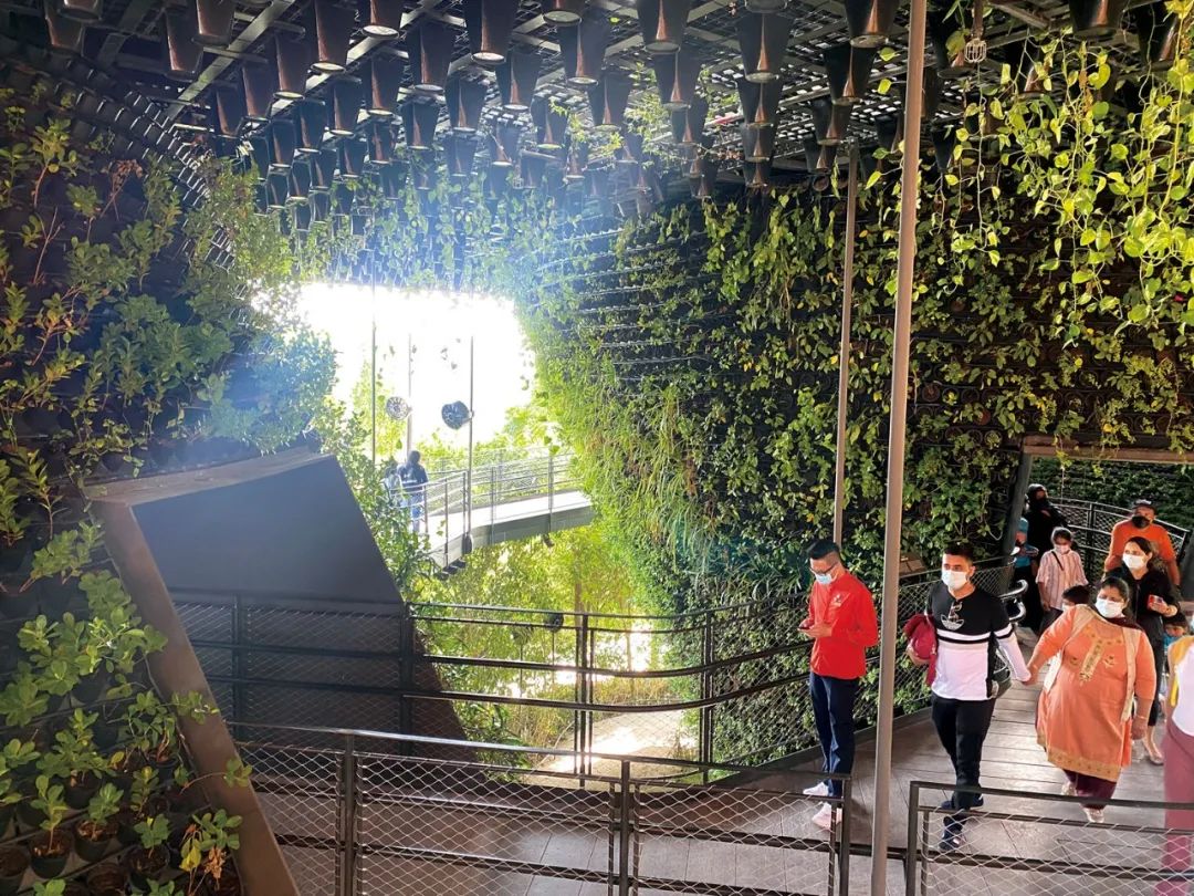 迪拜世博会中国馆复兴号,迪拜世博会彩绘飞机