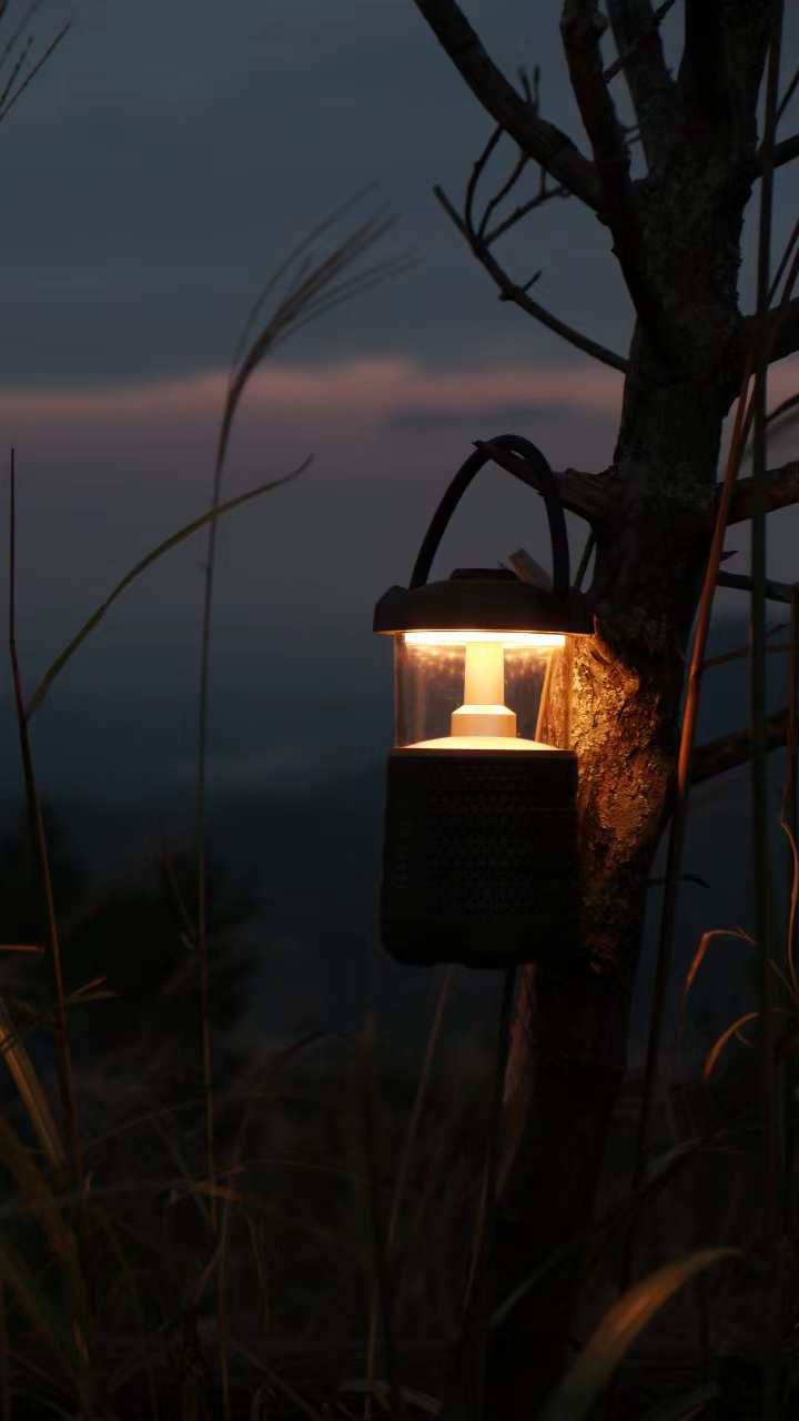 厦门森林公园免费景点,厦门森林旅游