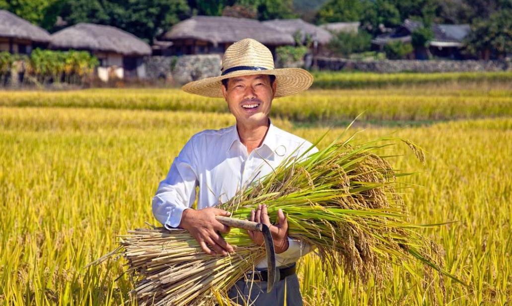 农村赚钱的小生意有哪些,农村一年四季都能挣钱的小生意