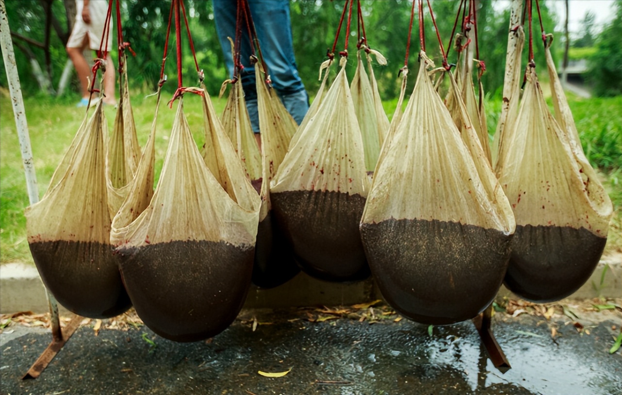 臭水沟捞黄金,臭水沟赚上亿