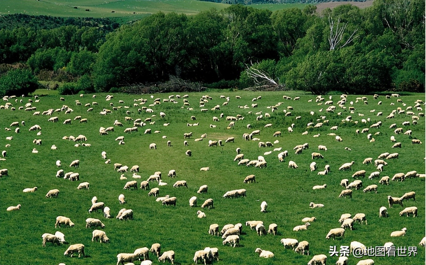 澳大利亚为什么是一个有趣的国家,每天了解一个国家澳大利亚