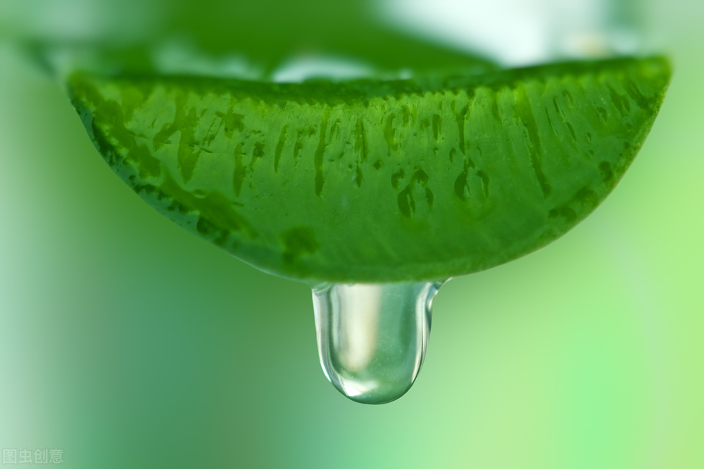 芦荟胶的用法和保存方法,芦荟胶和黄芪霜正确用法