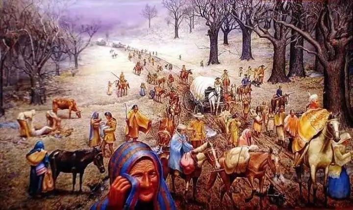 感恩节背后的黑暗历史,感恩节背后的血腥真相