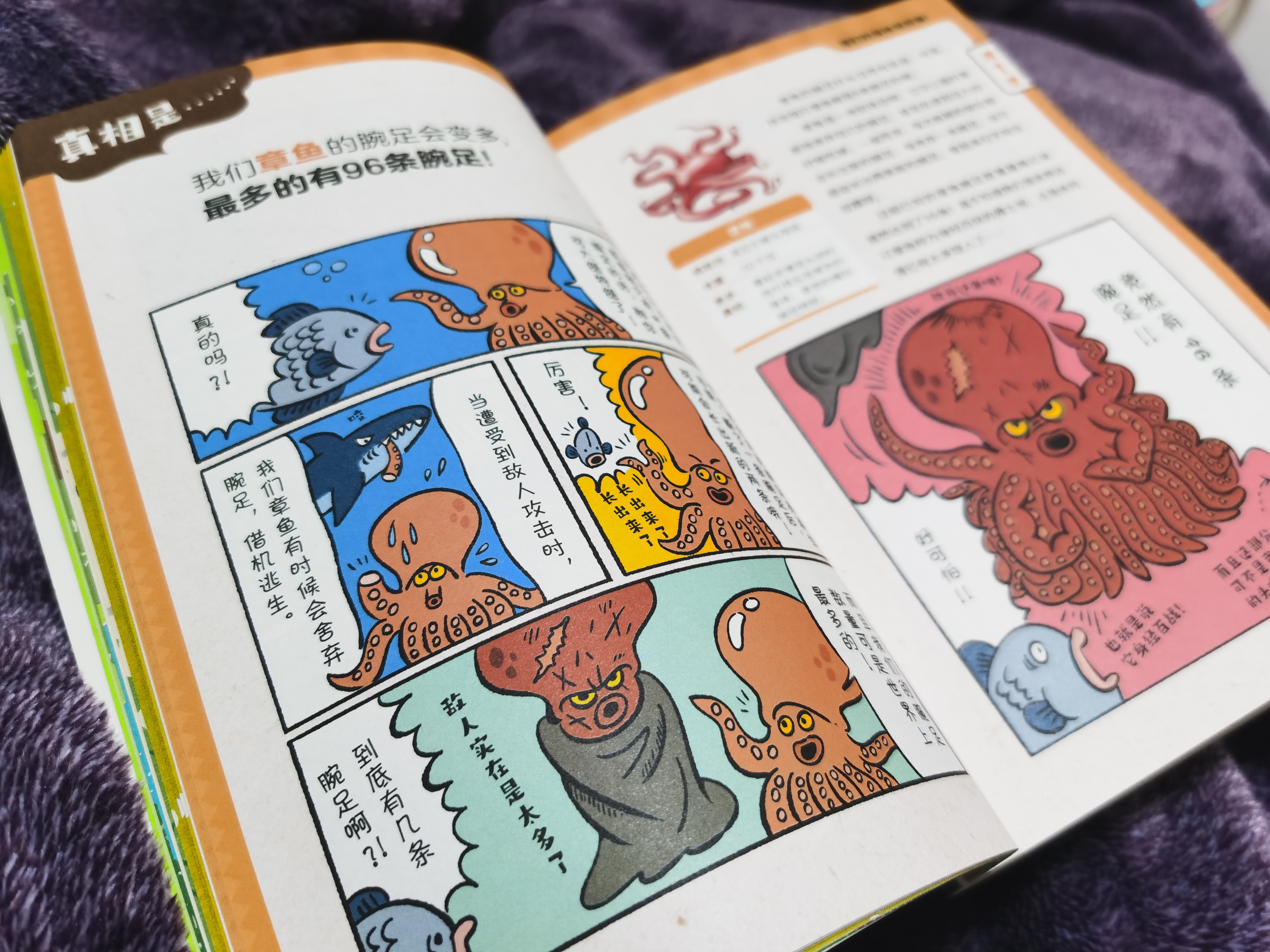 熊猫有几条腿是四条还是两条,熊猫有几根脚趾几根手指