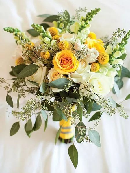 闀垮緱鍍忚冻鐞冧竴鏍风殑妞嶇墿,鍜岃冻鐞冩湁鍏崇殑妞嶇墿