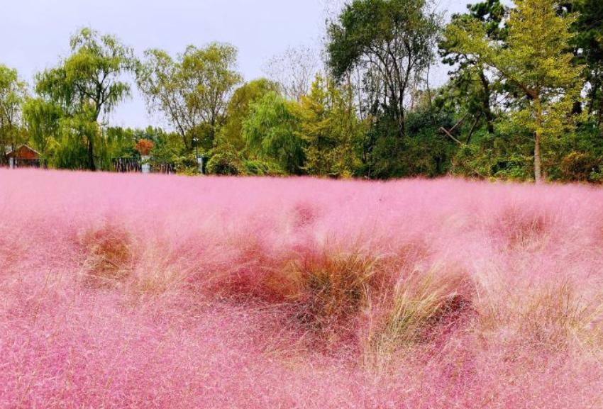 日照旅游攻略怎么吃到低价的海鲜,日照旅游吃海鲜攻略