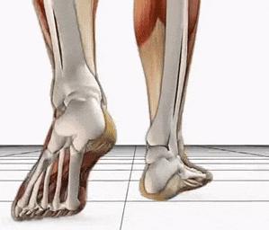 2022年稳定支撑跑鞋排行,2023稳定支撑跑鞋推荐