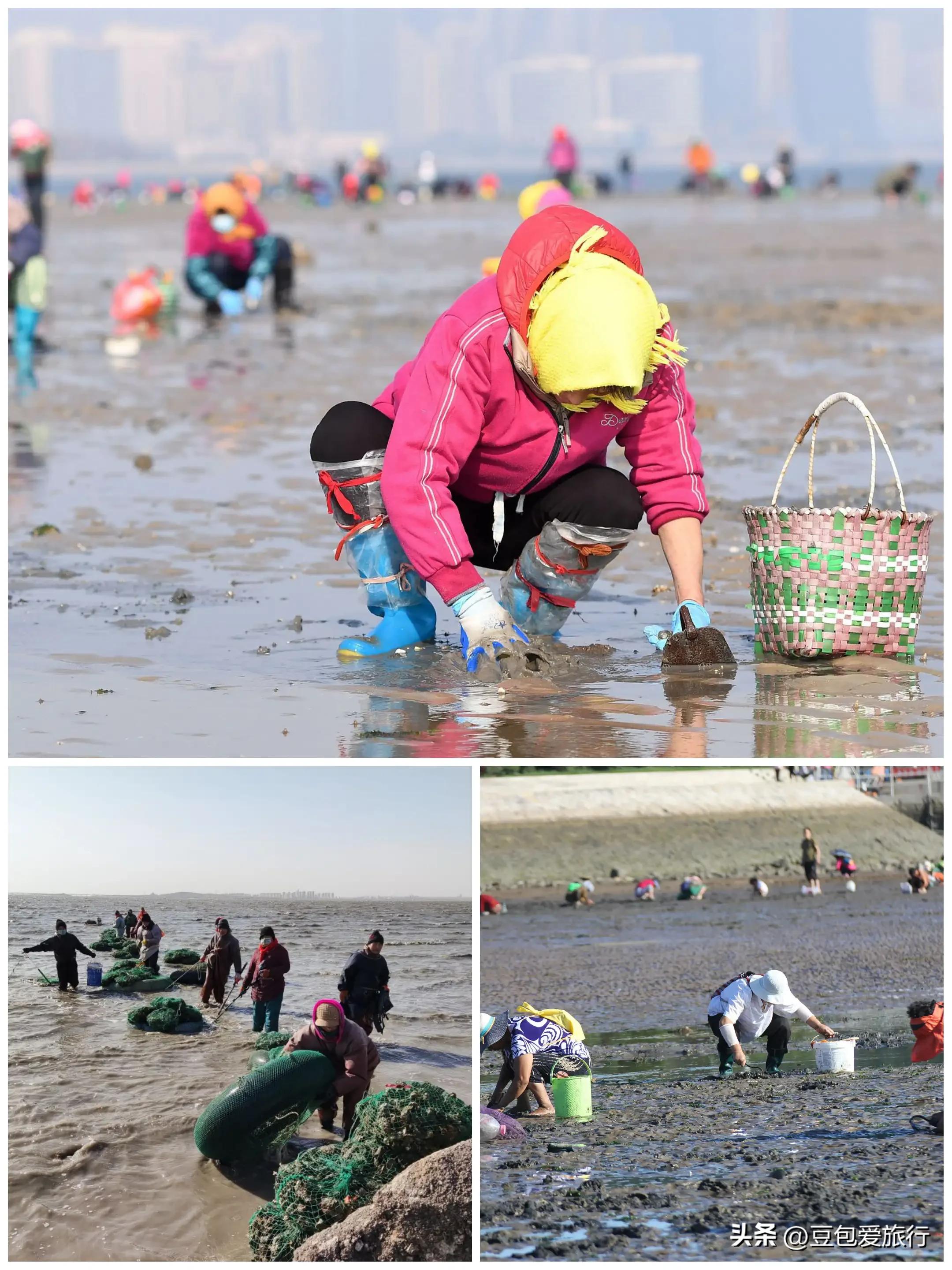 青岛旅游8月避坑攻略图,青岛海边旅游攻略三日游详细路线