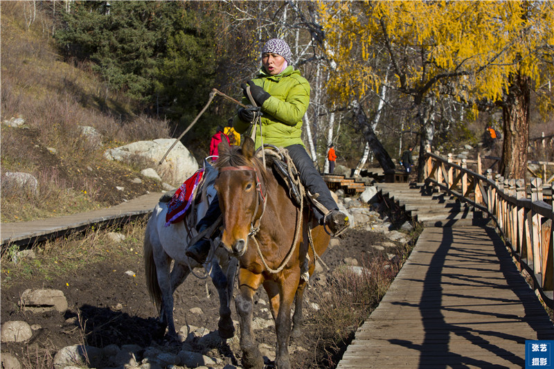 秋天必去中国50个最美地方,一生必去的五个中国最美秋天