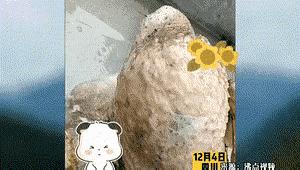 买了一只六斤半的土鸡，肚子里塞了一斤多的玉米