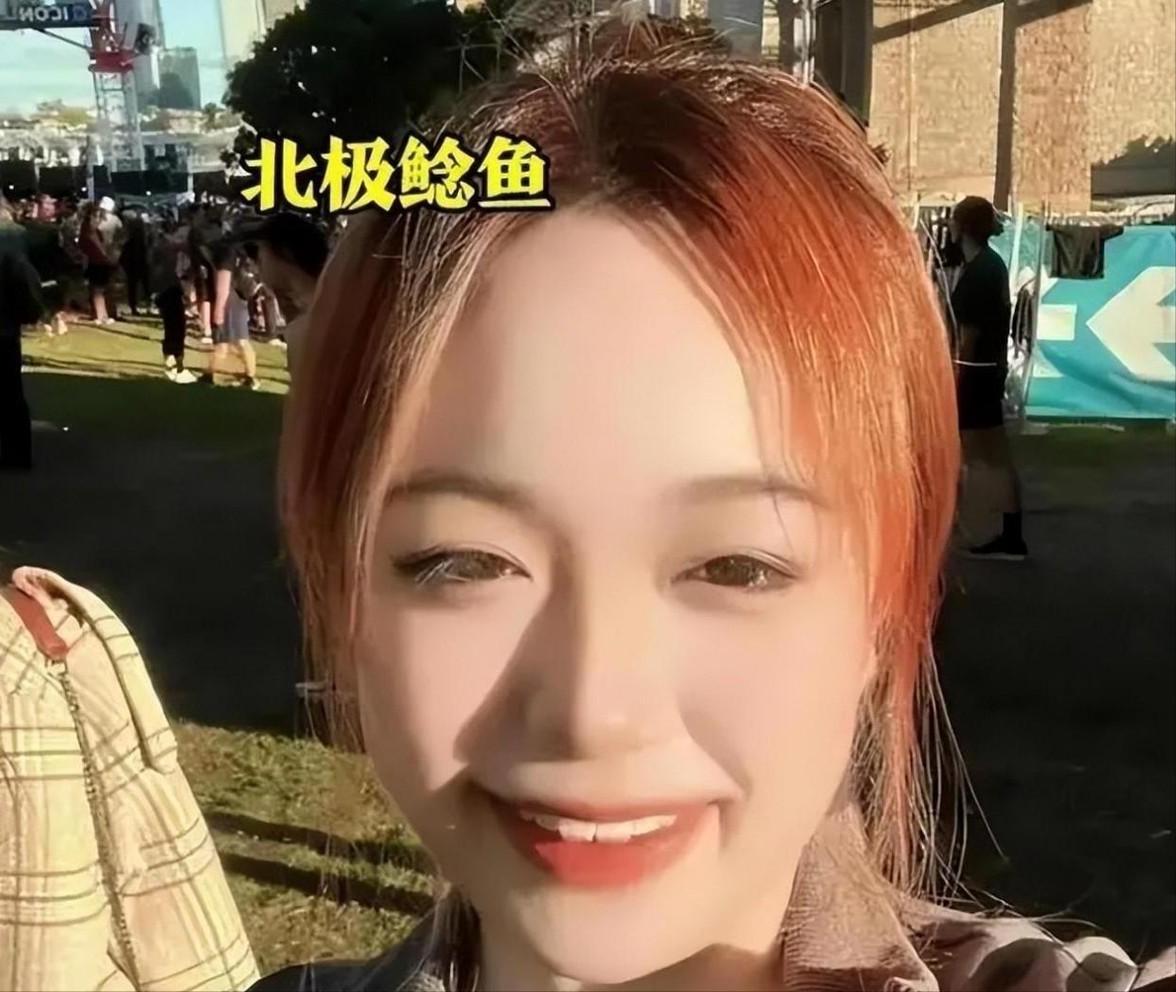 北极鲶鱼事件最新进展情况,北极鲶鱼最新事件