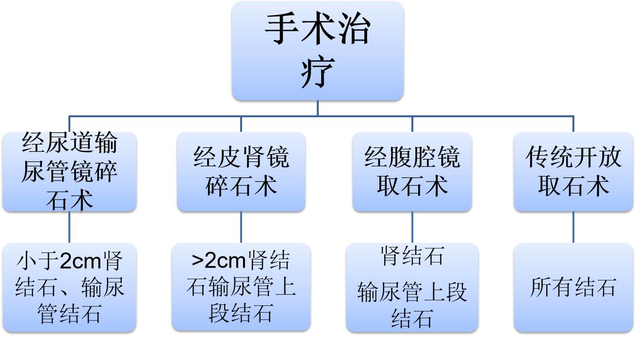 南昌大学二附院系列科普：泌尿系统结石的防治