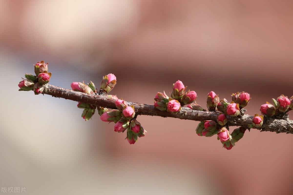 疫情过后山穷水尽,疫情结束来日方长