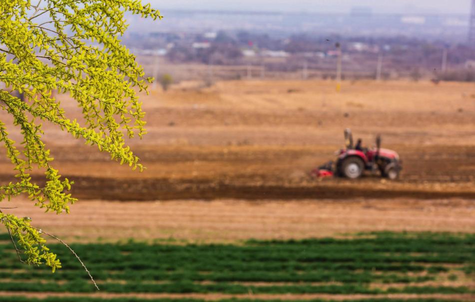 春耕备耕正当时七绝诗歌,春耕时节诗词鉴赏