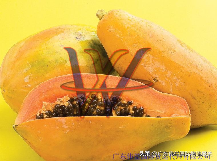 进口越南特产报关流程及费用,越南进口清关流程步骤