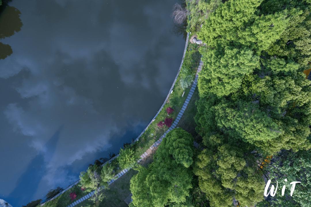 全国十大最美湖景高校,湖北最美湖景学校