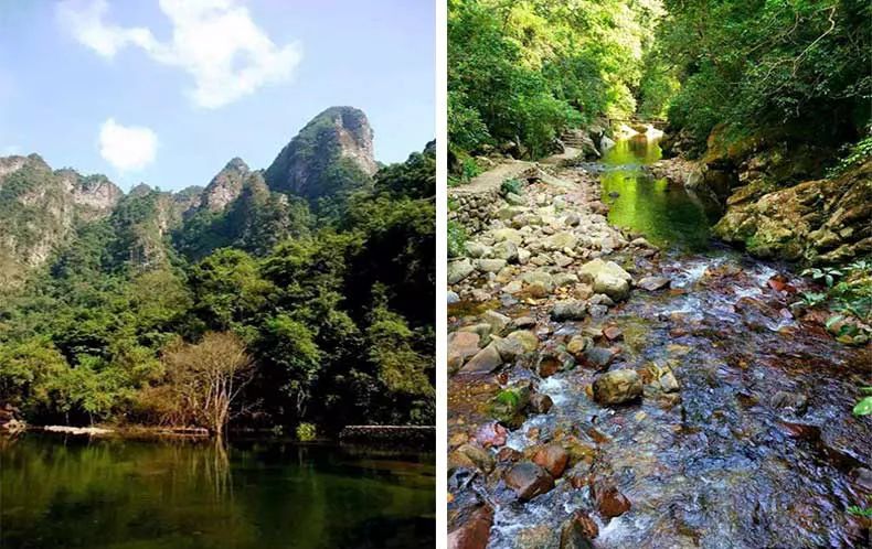 广西旅游攻略天洞,广西旅游攻略大明山