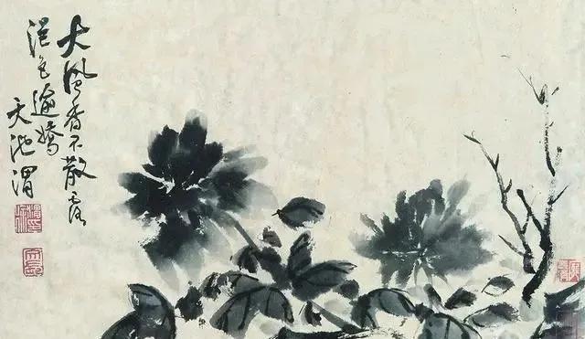 写意花鸟画的十种美,写意花鸟画集锦