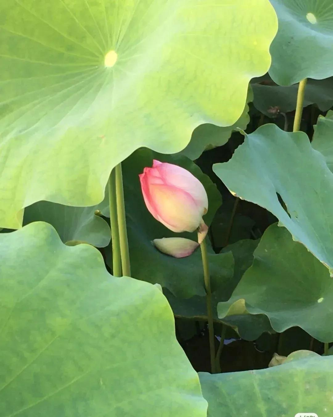 华山论道：寓意很好的八个汉字，代表八种人生智慧