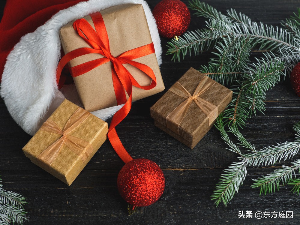 最想要的圣诞礼物是陪在你身边,最好的圣诞礼物是温暖的怀抱