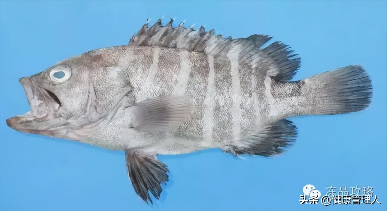 美容护肤食疗方案,美容护肤养生介绍