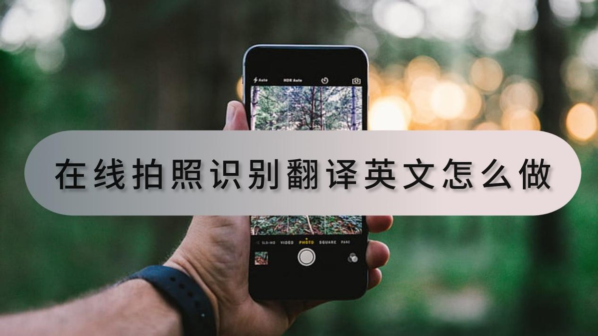 拍照翻译英文的app推荐,免费拍照识别翻译