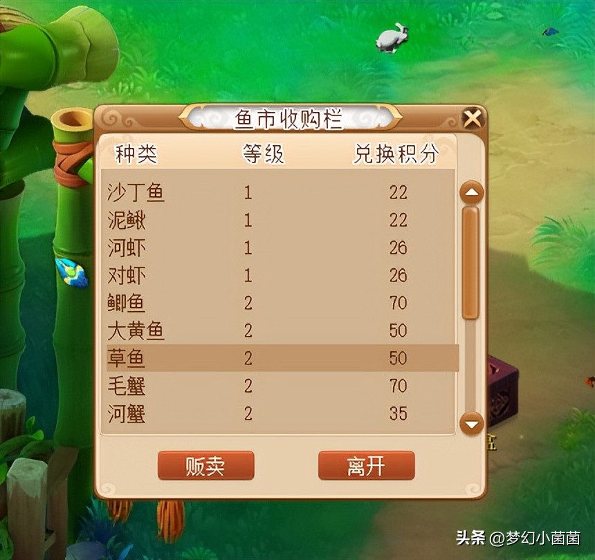 新手梦幻西游游戏攻略,新手梦幻西游攻略大全