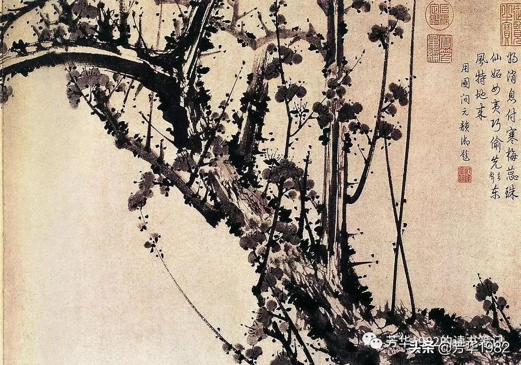 梅花图简介,历代名家梅花图