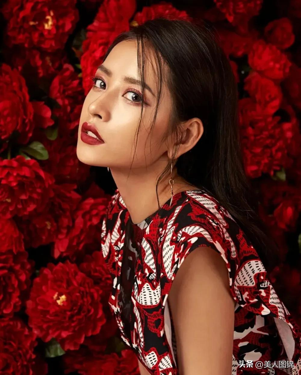 越南芝芙,芝芙越南