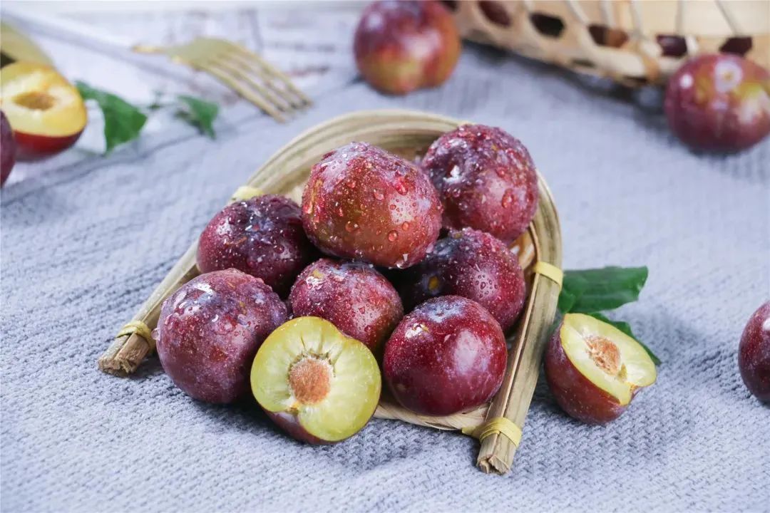 乡村振兴汶川县,我眼中的乡村振兴创业青年