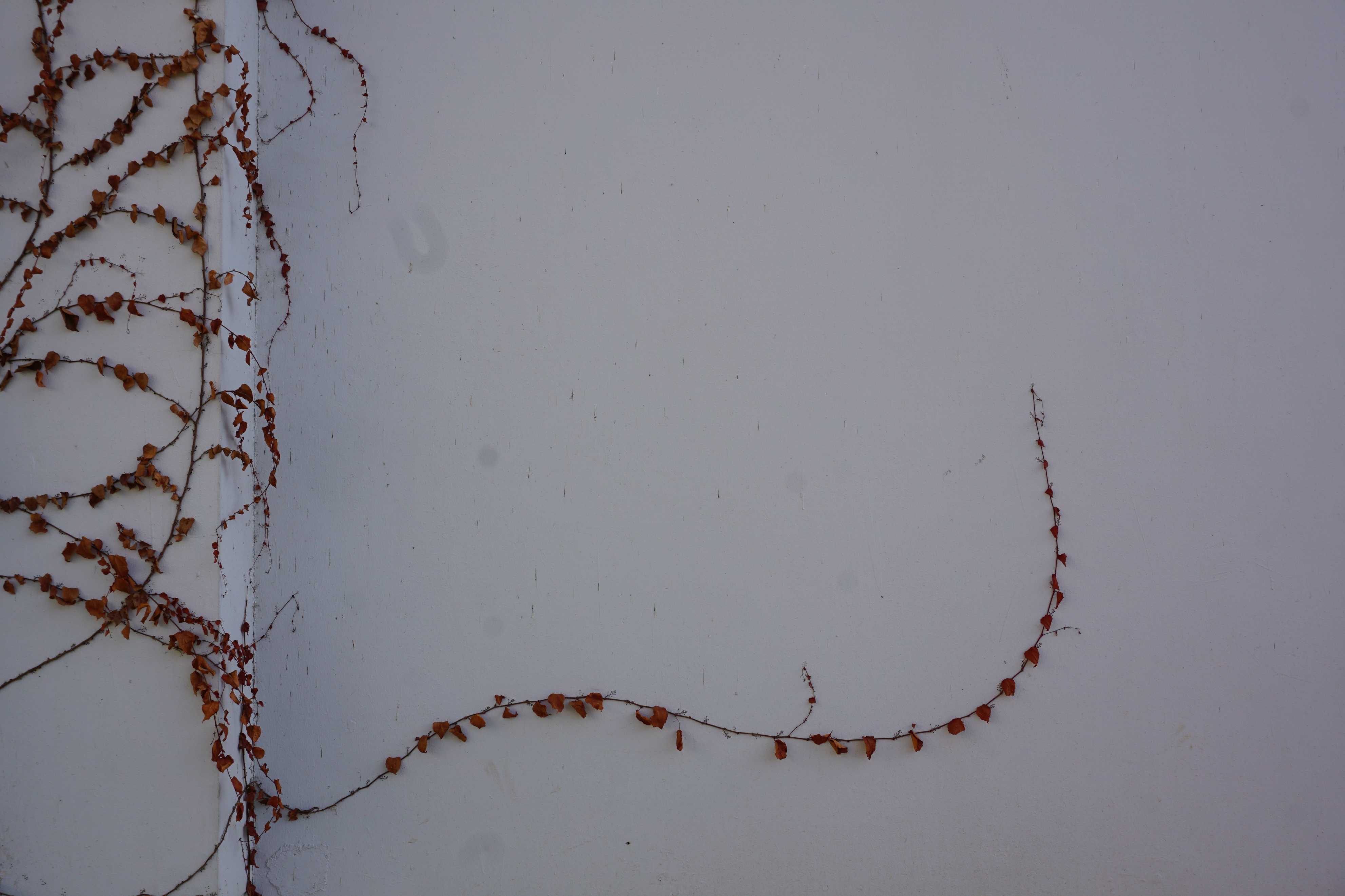 南京人看杭州,南京紫金山庄在哪里