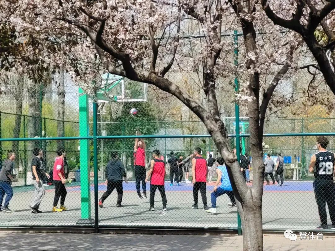 张家口以冬奥为契机发展冰雪经济,河北张家口下花园区怎么样