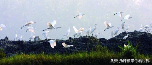 海岸线：海南岛西海岸之儋州——找寻隐秘在千年时光里的独特美景