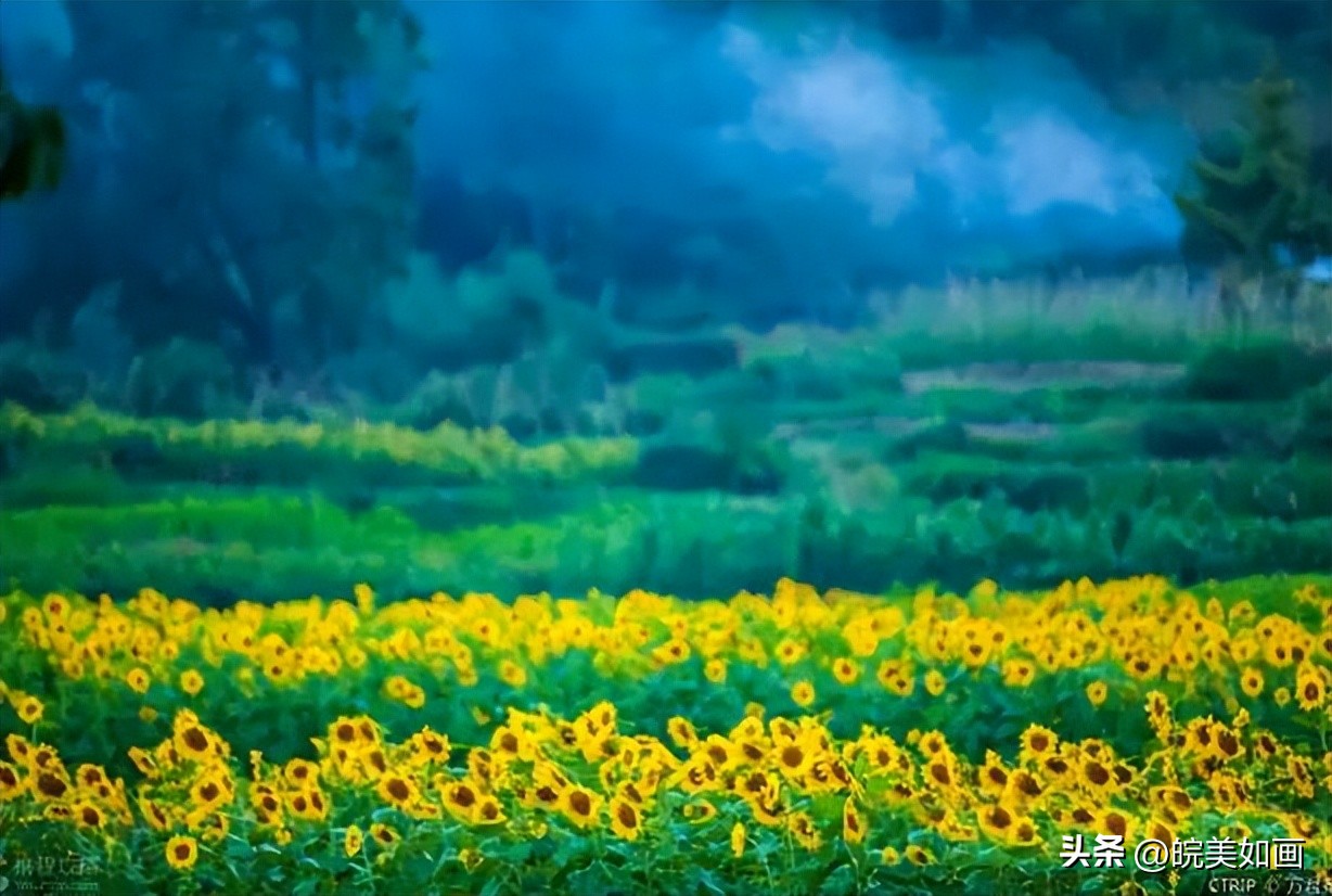 12月安徽值得旅游的地方,8月份适合旅游的安徽地方推荐