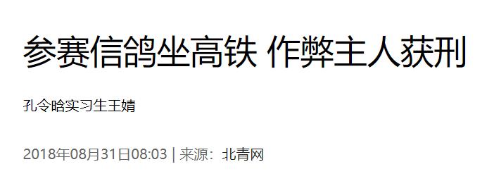 跟赛鸽比赛相比，世界杯*球赌**只能算小场面？
