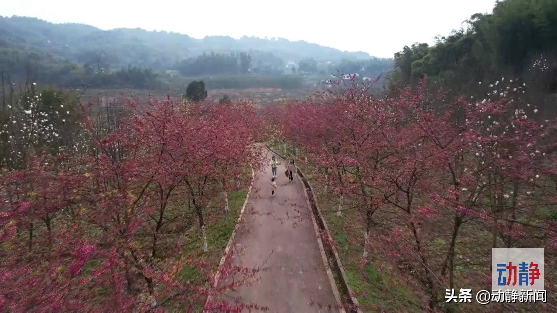 贵州赤水的美景,赤水浪漫景点