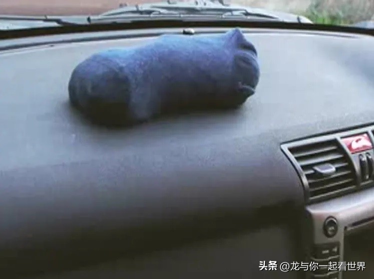 通过这些维护技巧确保您的汽车看起来最好