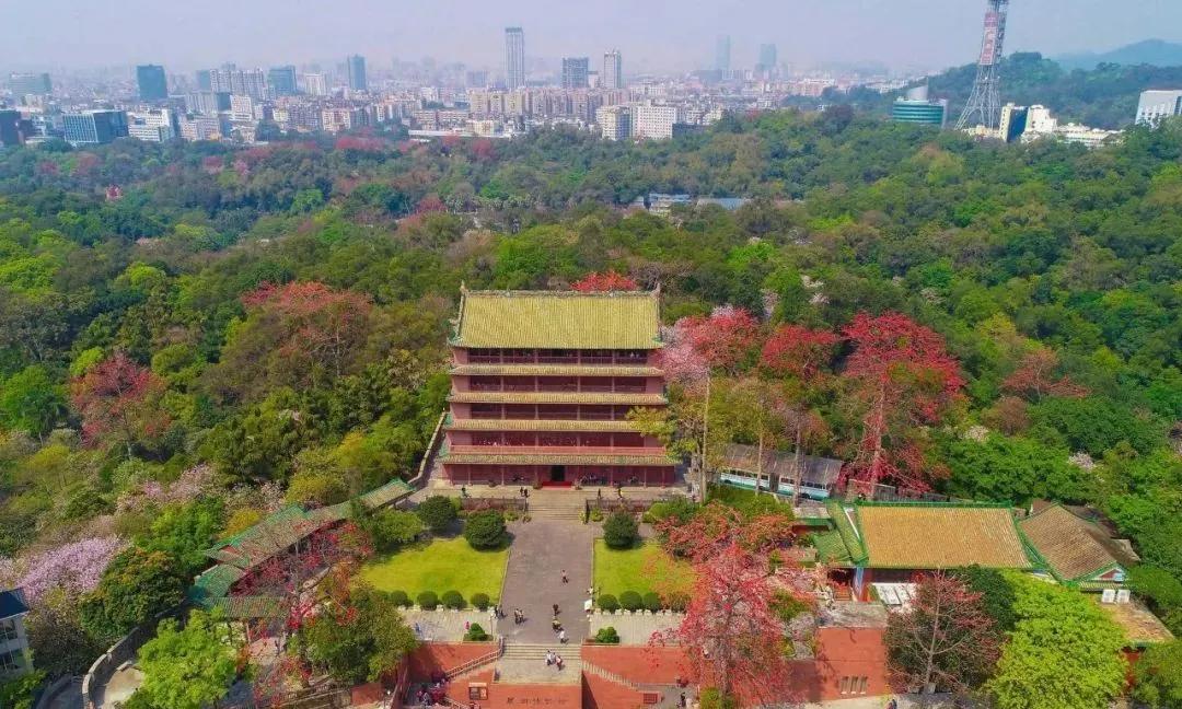 热爱广州的十大理由,推荐广州旅游的理由