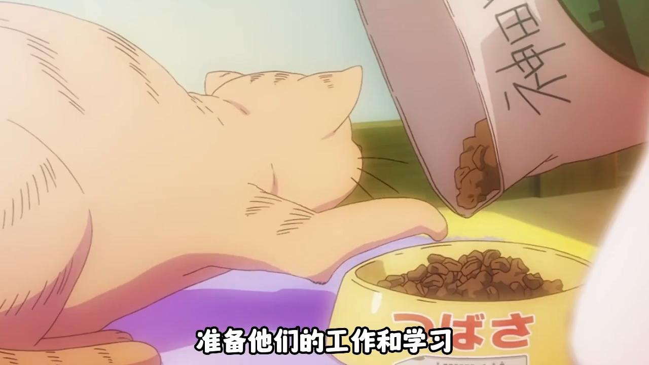 盘点樱花庄的宠物女孩,真白樱花庄的宠物女孩