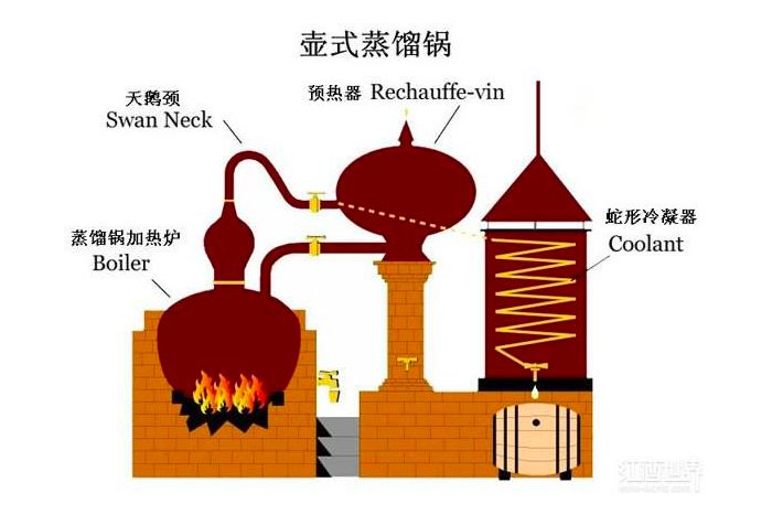 白兰地和威士忌哪种更有收藏价值 (威士忌和白兰地有何不同)
