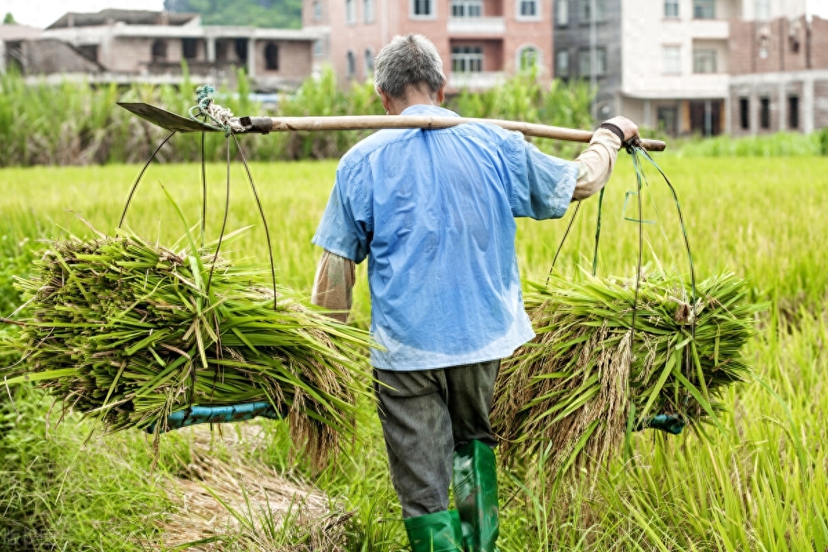 去武汉出差，同学小姨子热情招待我，与她发生幸福的事