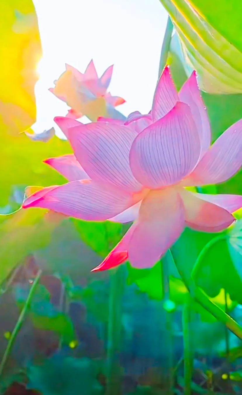 闺蜜聚会朋友圈文案短句干净治愈,适合闺蜜发朋友圈的文案最新