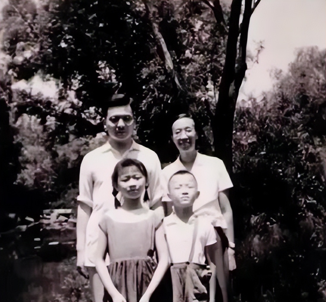 杨振宁劝说邓稼先去美国,邓稼先杨振宁出国留学