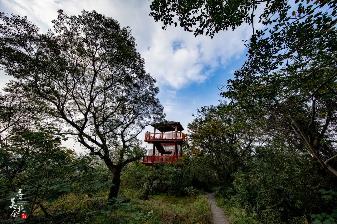 北仑徒步爬山推荐,北仑冷门爬山路线