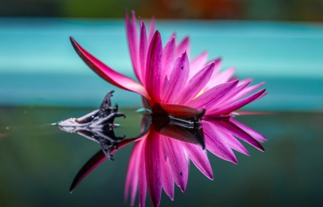 8月18日·上海要闻及抗击肺炎快报