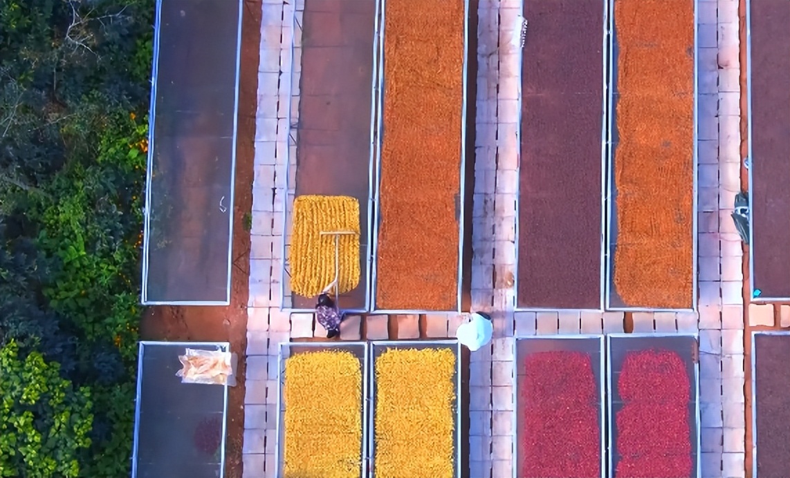 【直播预告】云咖何以香飘世界？来，一起解锁它的“出圈”密码！