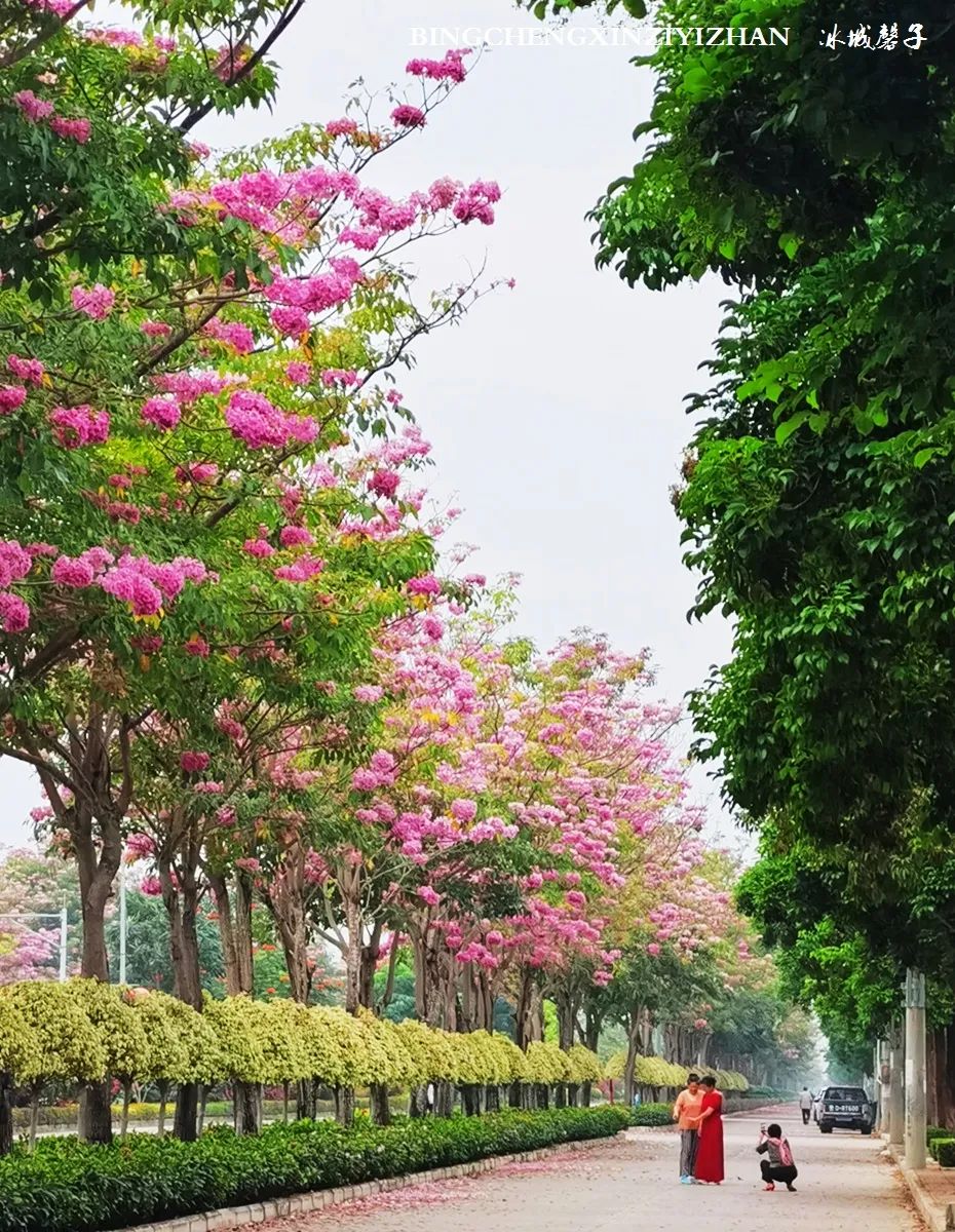 旅居海南：九所新区的浪漫情