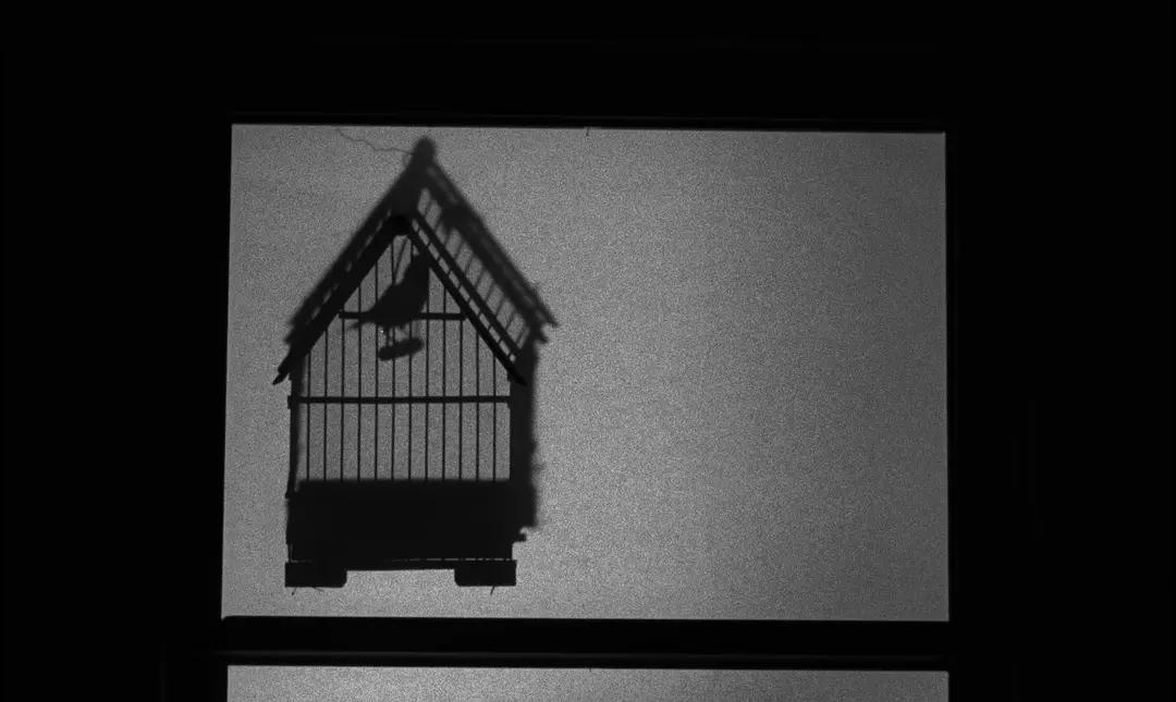 本将赃款藏在布娃娃里，黑心牧师为了钱杀害薇拉，并追杀兄妹俩