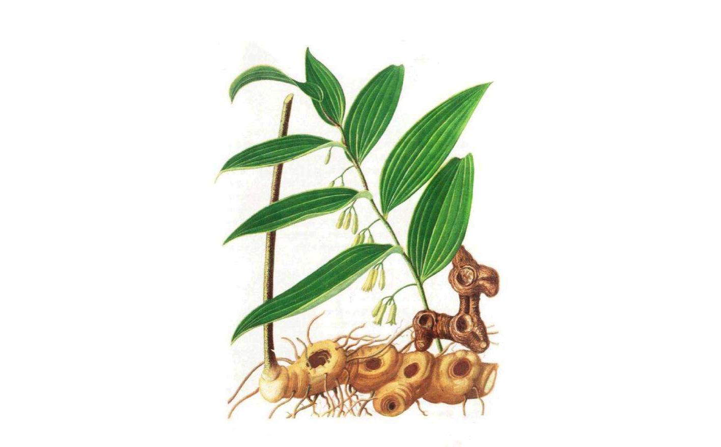 人过四十阳气自半是什么意思,人阴气不足怎么补