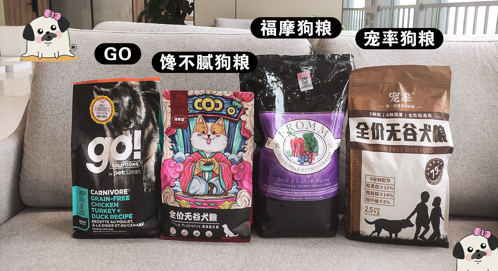 幼犬1-3个月怎么喂养土狗,如何快速成为幼犬的铲屎官